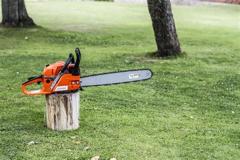 We trim trees, remove trees and sell firewood